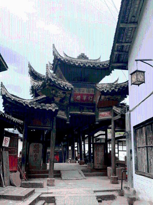 海南三亚：短肢领航鲸沙滩搁浅，多方合力救援